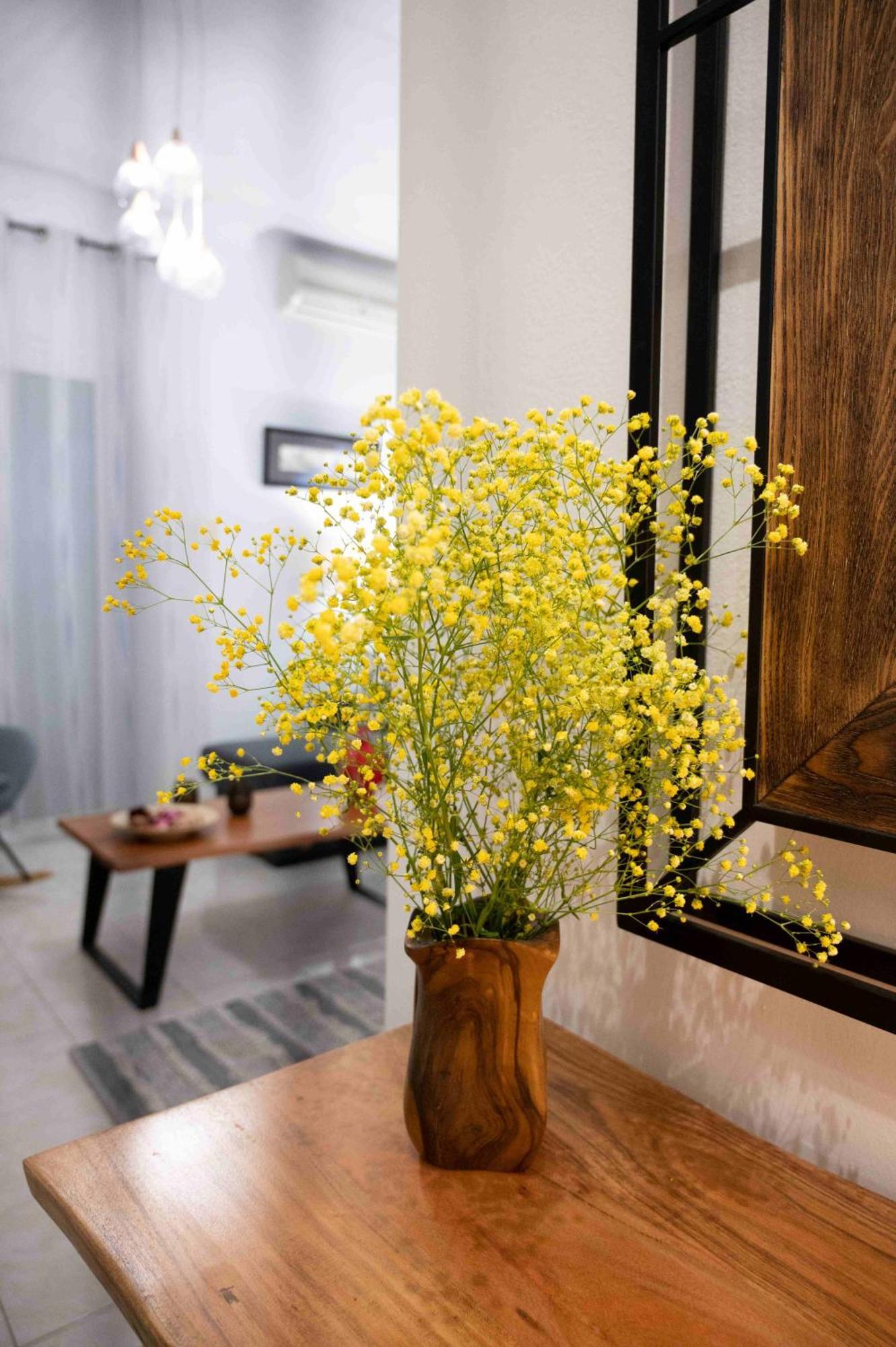 Appartement Cloe Corfu Airport *